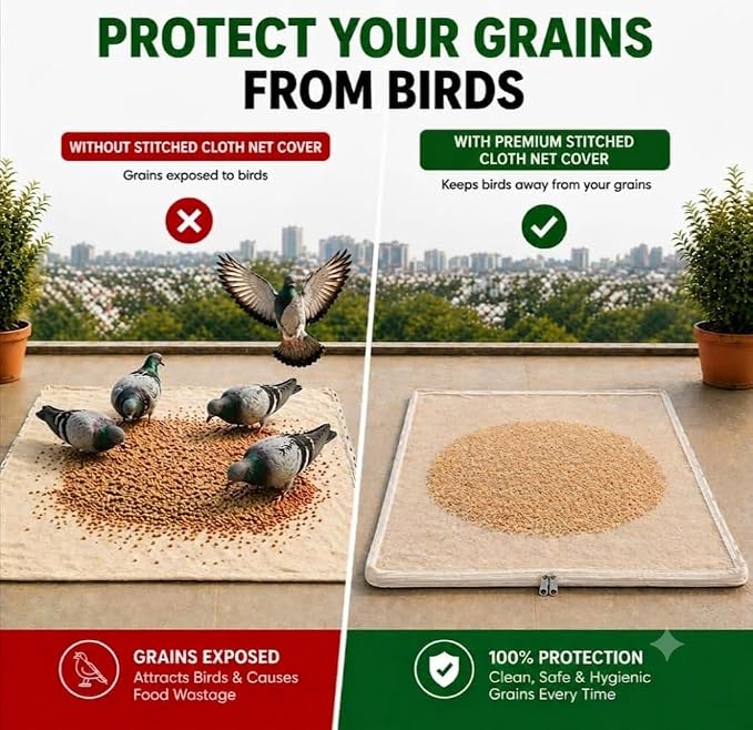 Grains on an open cloth eaten by pigeons, next to grains safe under the zipped net cover